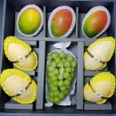 골드샤인 이미지