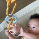 5개월 아기 장난감 | 열탕소독 가능⭕️ 아이블린 실리콘볼 & 딸랑이볼 장난감 솔직 사용 후기