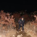윤산 천태산 장산 (2018년 3월 2일) 이미지