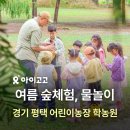 [25년 2분기] 어린이 놀이체육 2 | 어린이농장 학농원 여름 숲체험, 물놀이, 밧줄놀이 야외 체험 추천 | 경기 평택 아이와 가볼만한 곳...