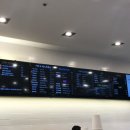 티라임스 이미지