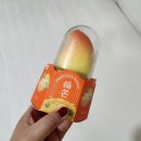프로피셔스