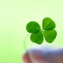 상대서로 이미지