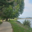 영신자전거 이미지