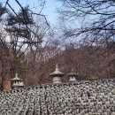 루다스테이 | 봉인사 템플스테이 후기