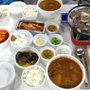 하나비의원 티스토리