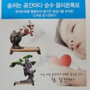 애니원플러스 이미지