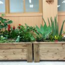 양재초등학교 이미지