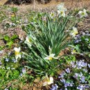 종지농장 이미지