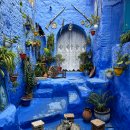 [어린이 공연개발 워크숍]  황금빛 언덕의 모험 | 모로코 사진 워크숍 12박 13일