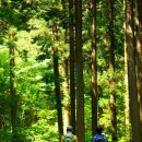 축령산 치유의 숲 안내센터 이미지