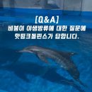 [Q&A] 비봉이 야생방류에 대한 질문에 핫핑크돌핀스가 답합니다 이미지