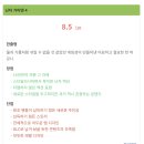 매직게임랜드 이미지