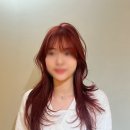 그리니헤어