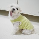 살랑살랑 이미지