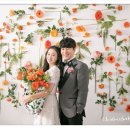 하이바이스튜디오