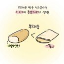그림으로 쉽게 설명해주는 서브웨이 빵종류 이미지