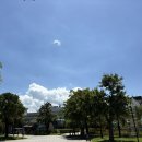 코코넛게임랜드 이미지