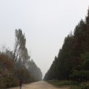 노을공원가로수길 이미지