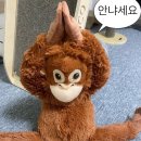 영미네집