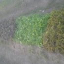 비전농장 이미지