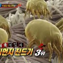 해충탈출넘버원 - 익산시 | 해충탈출넘버원