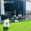 이종무로128번길 네이버블로그