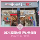 큰나무약국 네이버블로그