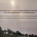 볼트글로벌