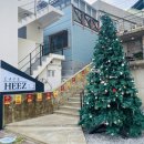 히즈 | 묵호 여행 2일차, 어달항 바다 보며 브런치 먹은 카페 히즈 후기