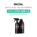 이지스헤어 이미지