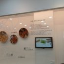 볏짚공예 | 자연을 디자인하는 풀짚공예박물관