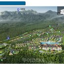 스위스관광㈜ 이미지