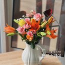 황진농장 | 꽃택배 정기배송 플로스데이, 생화가 집으로?