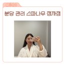 작은나무 | 분당피부관리 스파나무 정자점 후기, 작은 얼굴 케어 효과 진짜일까