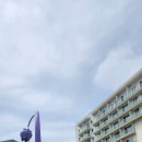 신비의사랑 | 진도쏠비치 방문후기｜신비의섬 사랑도 + 진도맛집 자영이네 (브레이크타임 주의!)