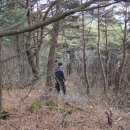 효석문학100리길 제4구간 이미지