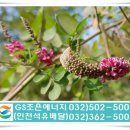 조은석유 이미지