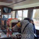 곡성 섬진강 기차마을 이미지