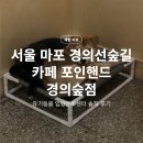 강남대로6길 66-7 | 서울 마포 경의선숲길 카페 포인핸드 경의숲점 | 유기동물 입양문화센터 솔직 후기