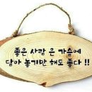 웃음짓는약국 이미지