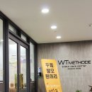 탈모의해답