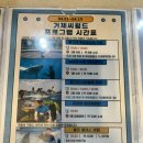 주정차단속-11 | 거제도여행: 거제씨월드 입장권 예매 할인꿀팁 정보 내돈내산 솔직방문후기