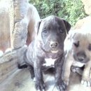 월향농장 이미지