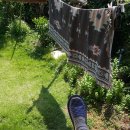 강진 소소원 이미지