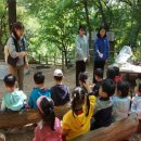 매봉산 유아숲체험원 이미지