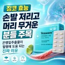 고투콜라 | 징코 효능, 손발 저리고 머리 무거운 분들 주목 — 은행잎추출물이 혈행에 도움 되는 진짜 이유