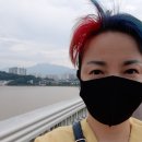 소나무헤어아트 이미지