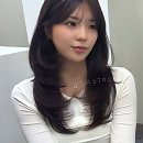 우성동물병원 | 드디어 정착각 잡았다! 인생 머리 찾은 아스트룸헤어 후기