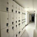 스테이 단밤 이미지